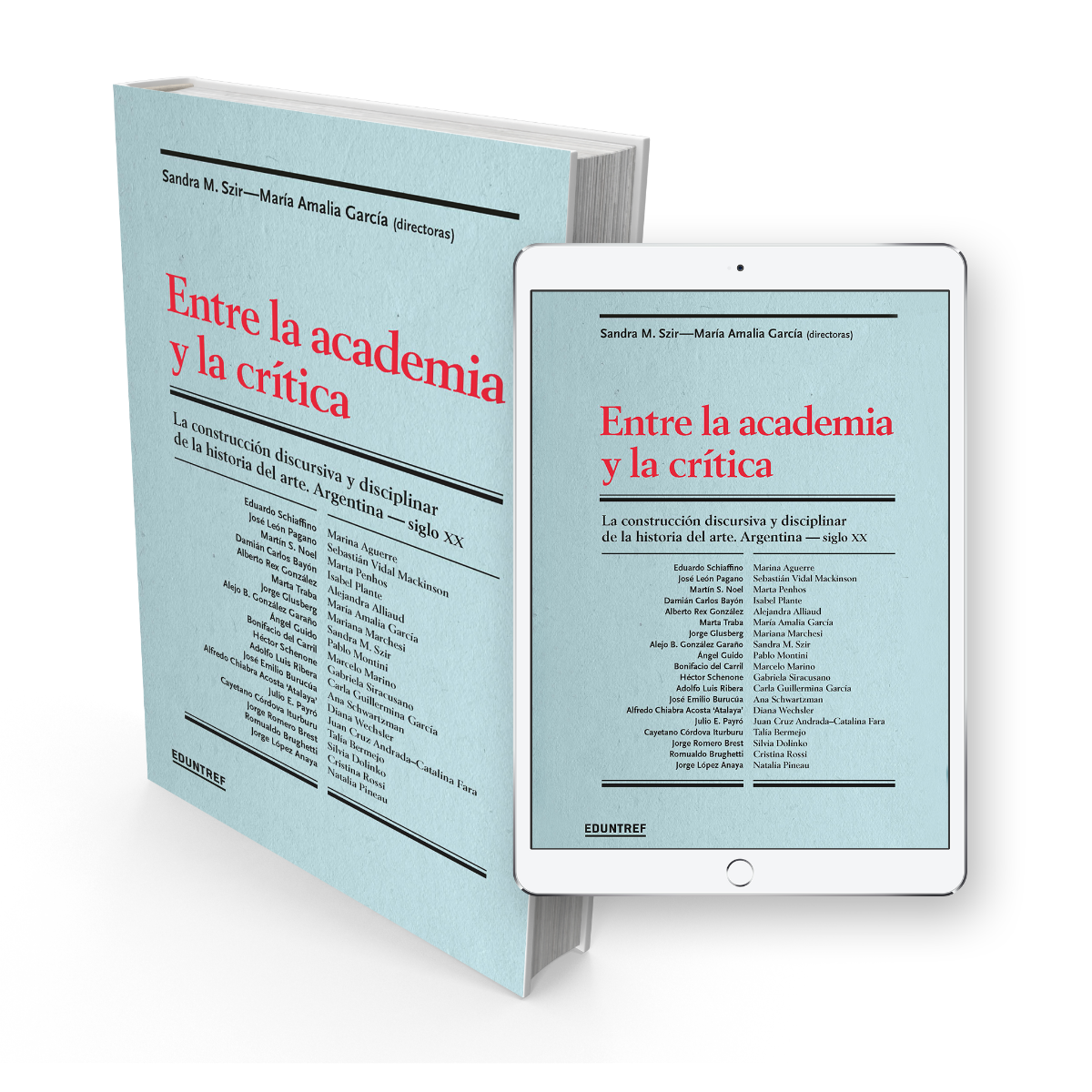 Entre la academia y la crítica